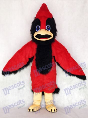 Big Red Bird Mascot Costume