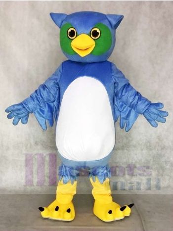 Blue and Green Owl Mascot Costume
