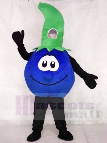 Blueberry Mascot Costume