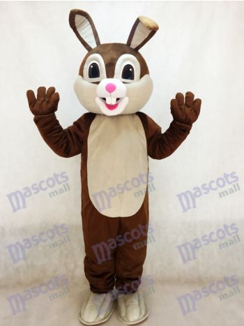 Chocolate Brown Easter Bunny Mascot Costume
