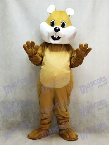 Chubby Tan Squirrel Mascot Costume with White Belly