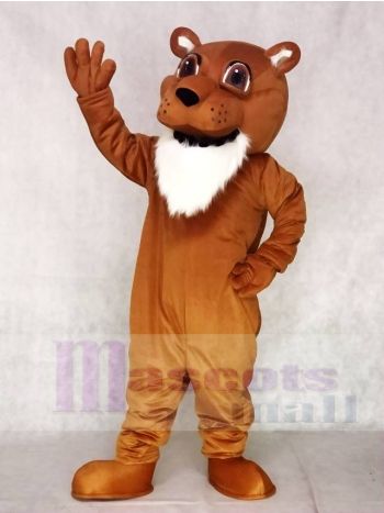 Colby Cougar Mascot Costume
