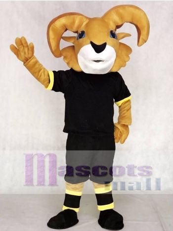 Golden Ram Mascot Costume in Black T-Shirt and Shorts
