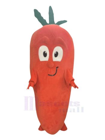 Happy Carrot Mascot Costume