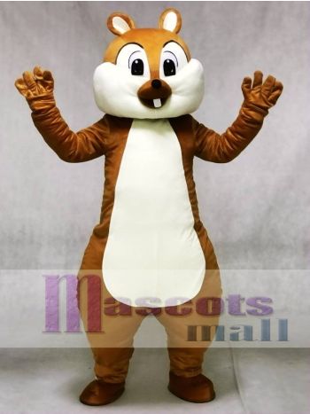 Light Brown Squirrel Mascot Costume with White Belly