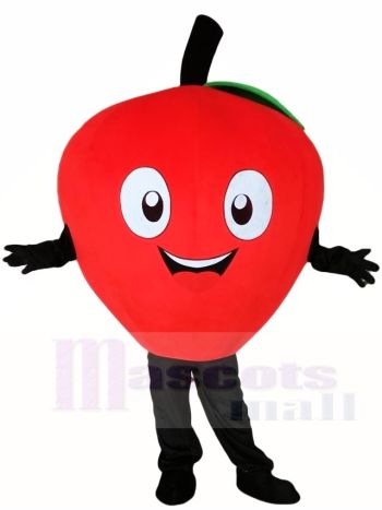 Red Apple Mascot Costume
