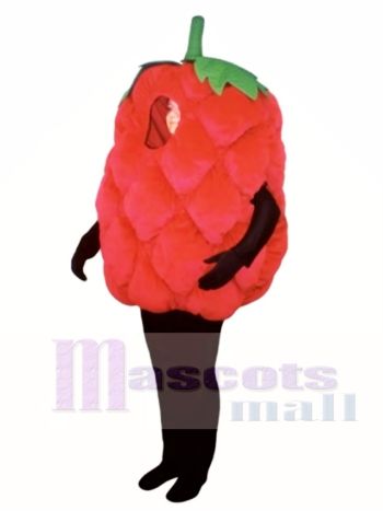 Red Raspberry Mascot Costume