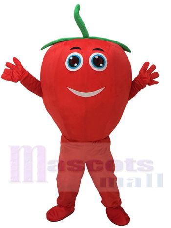 Red Tomato Mascot Costume