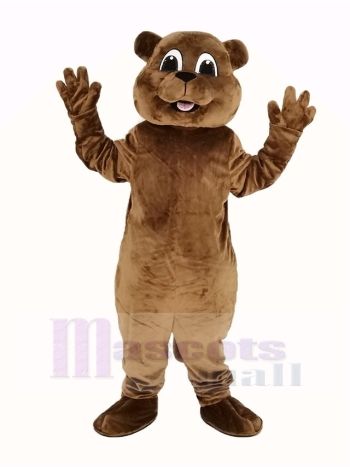 Woody Woodchuck Mascot Costume
